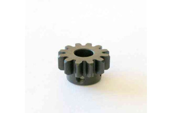 Steel gear z12 