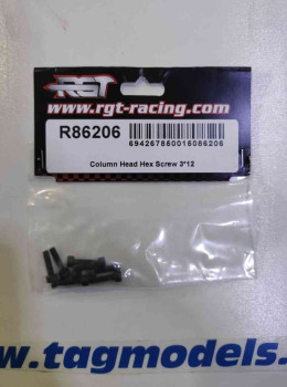 Column Head Hex Screw 3*12  RGT Racing  R86206