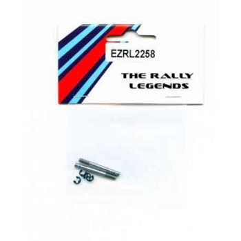 Shock shafts For Rally Car (long) (2)