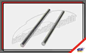 GS-VS1019 - Rear Lower Suspension Hinge Pin (2)